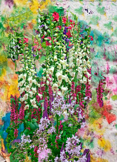 Fotografie getiteld "Flower Border with…" door Derek Harris, Origineel Kunstwerk, Gemanipuleerde fotografie