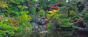 Fotografie getiteld "Japanese Garden at…" door Derek Harris, Origineel Kunstwerk, Niet gemanipuleerde fotografie