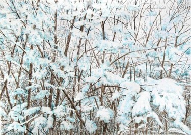 Dessin intitulée "Branche neige" par Pierre Fabry, Œuvre d'art originale, Autre