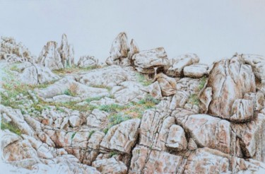 Dessin intitulée "Lande et rocs" par Pierre Fabry, Œuvre d'art originale, Autre