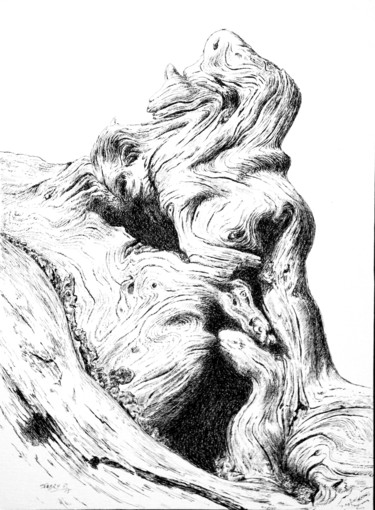 Drawing titled "Mélée" by Pierre Fabry, Original Artwork, Ink