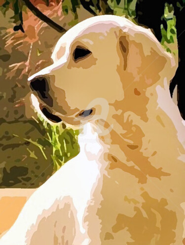 Arte digital titulada "Meet the dog: a pro…" por Devonmeert, Obra de arte original, Fotografía digital
