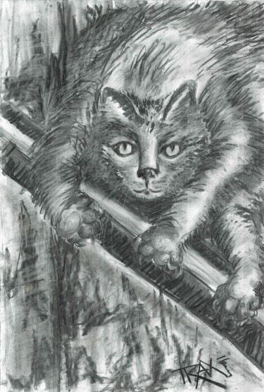 Drawing titled "Wild Fury: Intense…" by Diana Dimova - Traxi, Original Artwork, Charcoal