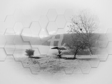 Photography titled "Misty lake shore" by Diana Editoiu, Original Artwork, Digital Photography