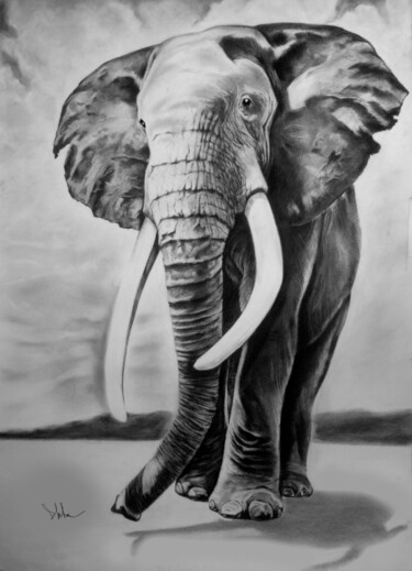 Dessin intitulée "Elephant" par Diego Martínez (Plata), Œuvre d'art originale, Fusain