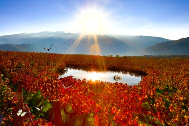 Fotografía titulada "Red Lagoon" por Diego Stamato, Obra de arte original, Fotografía digital