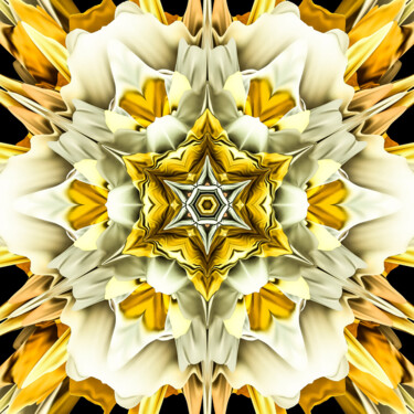 Grafika cyfrowa / sztuka generowana cyfrowo zatytułowany „Star of David” autorstwa Dieter Hanf, Oryginalna praca, 2D praca c…