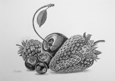 "Berry Collection" başlıklı Resim Dietrich Moravec tarafından, Orijinal sanat, Kalem