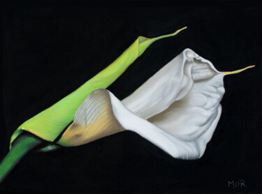 Malerei mit dem Titel "White Calla" von Dietrich Moravec, Original-Kunstwerk, Pastell
