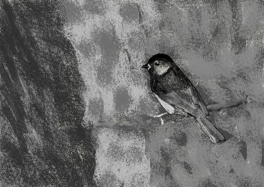 Digitale Kunst getiteld "vogeltje wat zit op…" door Digitalartforyou, Origineel Kunstwerk, Digitaal Schilderwerk