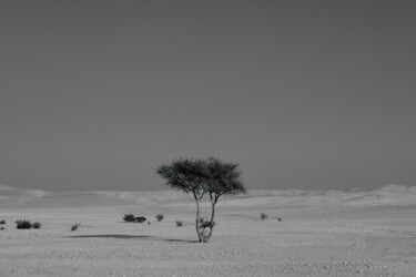 Fotografía titulada "Alone in the desert" por Dimitrios Paterakis, Obra de arte original, Fotografía digital