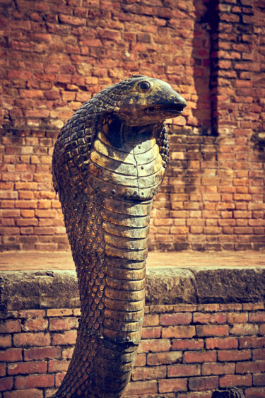 Fotografie getiteld "Bronze cobra" door Dimitrios Paterakis, Origineel Kunstwerk, Digitale fotografie