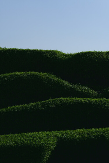 Fotografie mit dem Titel "Levels of green" von Dimitrios Paterakis, Original-Kunstwerk, Digitale Fotografie