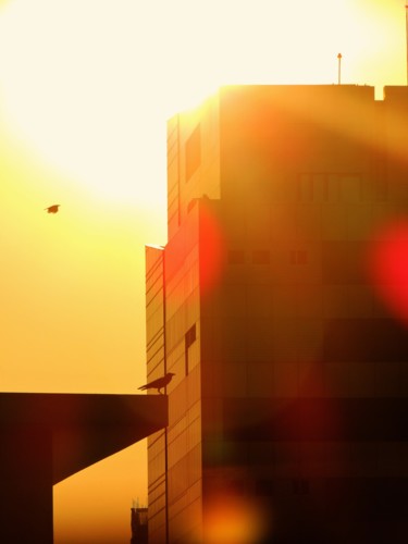摄影 标题为“Urban sunset” 由Dinil Samarasinha, 原创艺术品, 数码摄影