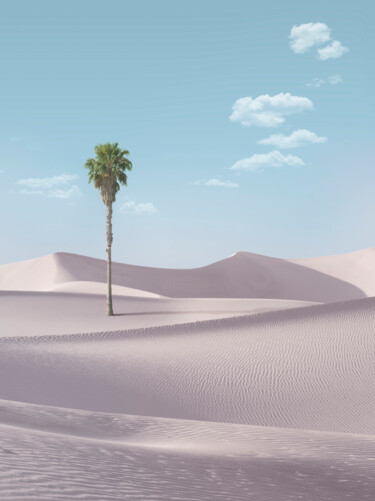 "Pink Desert" başlıklı Fotoğraf Dmitry Ersler tarafından, Orijinal sanat, Dijital Fotoğrafçılık