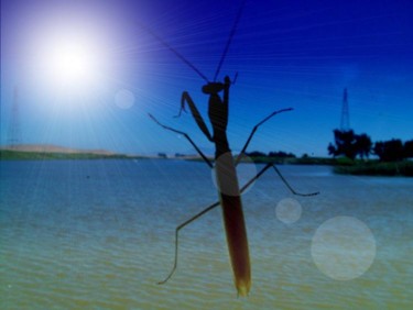 Photography titled "Praying Mantis Silh…" by Dmorco, Original Artwork