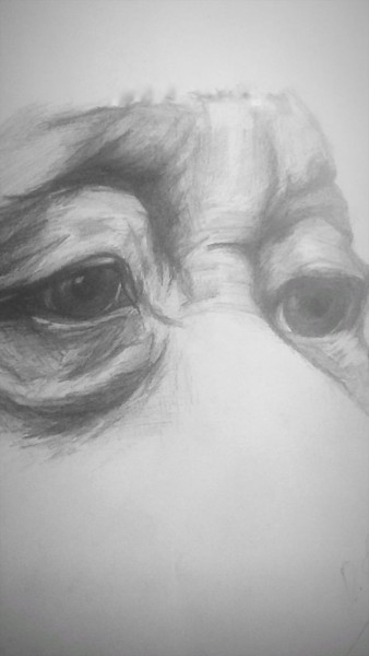 Desenho intitulada "Gözlerin anlattıkla…" por Doğuş Seçkin, Obras de arte originais, Carvão