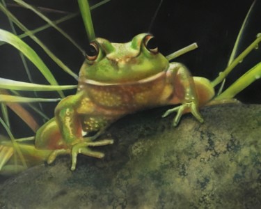 Painting titled "Frog on the stone" by Dolgor Dugarova (Dolgor Art), Original Artwork, Acrylic