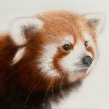 Картина под названием "Red panda" - Dolgor Dugarova (Dolgor Art), Подлинное произведение искусства, Акрил