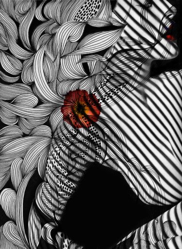 Photography titled "coquelicot" by Dodi Ballada, Original Artwork, Manipulated Photography