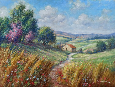 Peinture intitulée "Tuscany bloomed cou…" par Domenico Ronca, Œuvre d'art originale, Huile Monté sur Châssis en bois