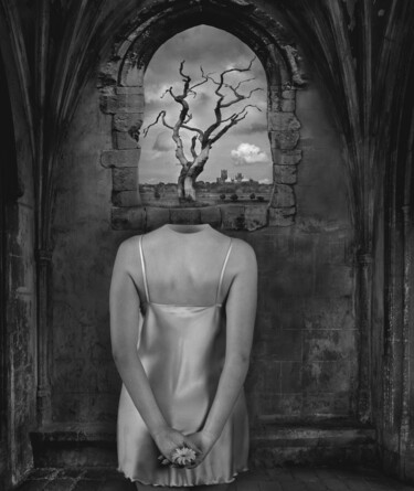 Photographie intitulée "The Tree of Knowled…" par Dominic Rouse, Œuvre d'art originale, Photographie manipulée