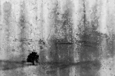 "Champ de béton" başlıklı Fotoğraf Dominique Cahier tarafından, Orijinal sanat, Dijital Fotoğrafçılık