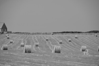 Photographie intitulée "6354 Champs de blé" par Dominique Goujard, Œuvre d'art originale, Photographie numérique