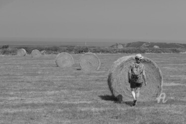 Photographie intitulée "6355 champs de blé" par Dominique Goujard, Œuvre d'art originale, Photographie numérique