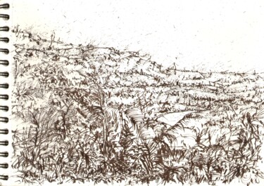 Dessin intitulée "Paysage Bretagne" par Dominique Leblanc, Œuvre d'art originale, Encre