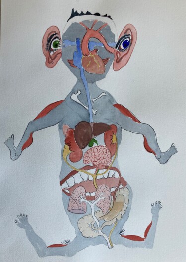 Peinture intitulée "L'anatomie humaine…" par Dominique Metras, Œuvre d'art originale, Aquarelle