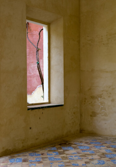 Photographie intitulée "intérieurs II" par Dominique Petrel, Œuvre d'art originale