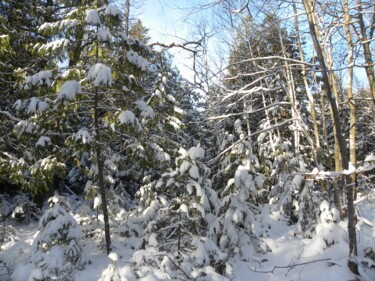 Fotografia zatytułowany „Snowy Landscape Min…” autorstwa Doug Dunigan, Oryginalna praca, Fotografia cyfrowa