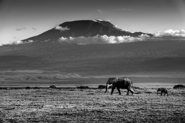 Fotografie mit dem Titel "Elephant in front o…" von Dylan Olivier, Original-Kunstwerk, Digitale Fotografie