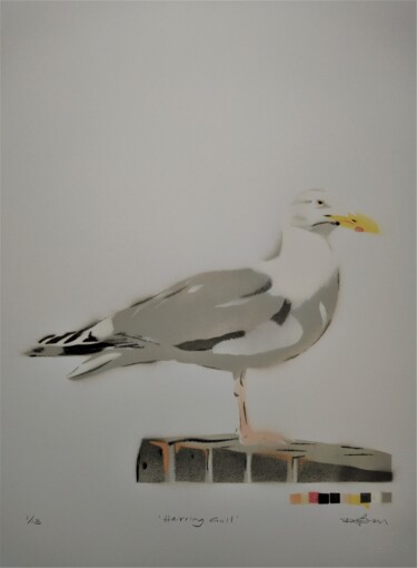 Pittura intitolato "'Herring Gull' - Or…" da Dylan Bell (Bells Galleries), Opera d'arte originale, Spray