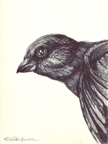 Drawing titled "Moineau" by Edith Donc, Original Artwork, Ballpoint pen