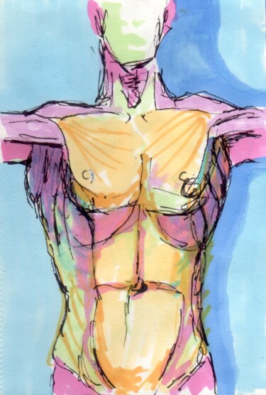 Dibujo titulada "Torse coloré" por Edith Donc, Obra de arte original, Rotulador