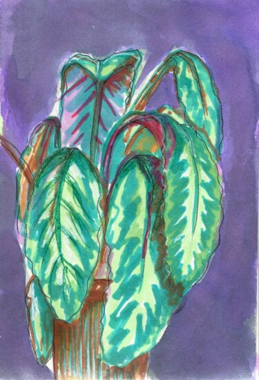 Drawing titled "Plante à l'atelier 2" by Edith Donc, Original Artwork, Marker