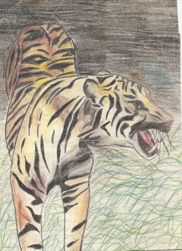 Desenho intitulada "Dessin de tigre" por Edith Donc, Obras de arte originais, Lápis