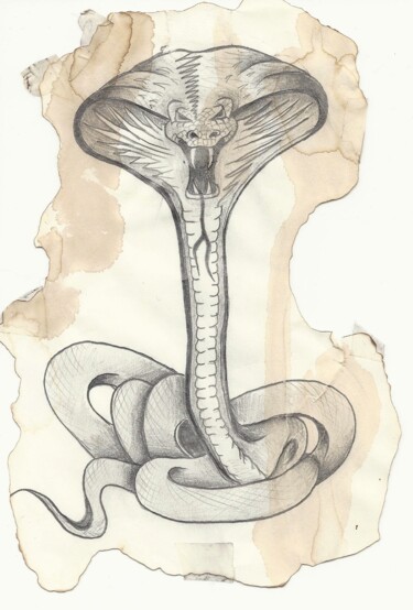 Zeichnungen mit dem Titel "Cobra" von Edith Donc, Original-Kunstwerk, Bleistift