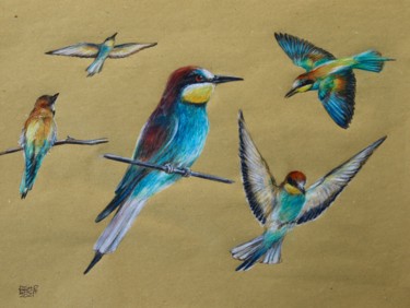 Painting titled "Bee eater" by Daniel Rohrbach, Original Artwork, Conté