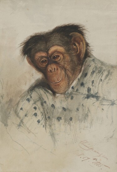Картина под названием "Tête de chimpanzé" - Edward Lear, Подлинное произведение искусства, Акварель