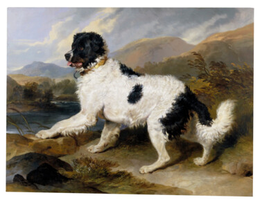 Painting titled "Lion : Un chien de…" by Edwin Landseer, Original Artwork, Oil