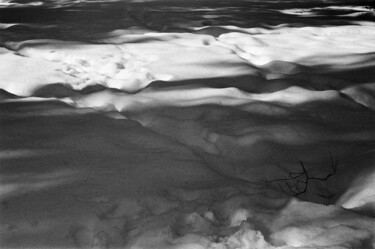 Photography titled "Snow visit log" by Ekaterina Kastalskaya, Original Artwork, Analog photography