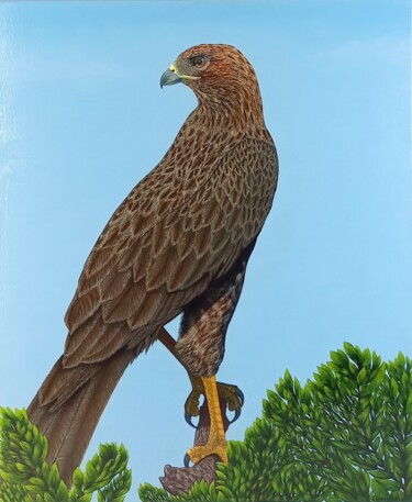 Painting titled "Falcon" by Ekaterina Kusmartseva, Original Artwork, Oil Mounted on Wood Stretcher frame