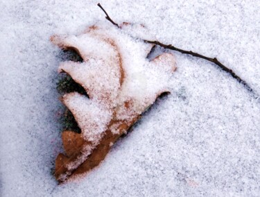 Photography titled "First snow" by Elen Ruzh, Original Artwork