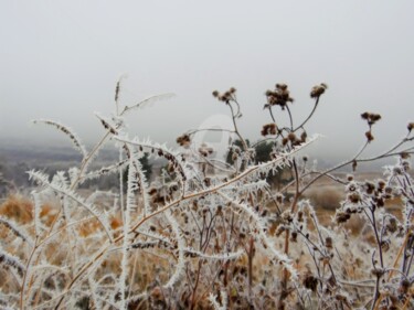 Photography titled "Winterhandwerk" by Elen Ruzh, Original Artwork