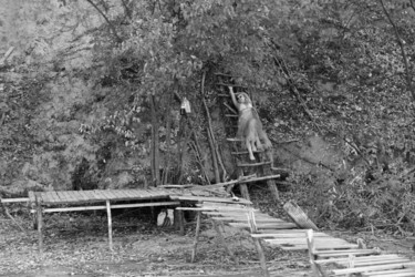 Фотография под названием "Swimmers" - Elena Bandurka, Подлинное произведение искусства, Цифровая фотография