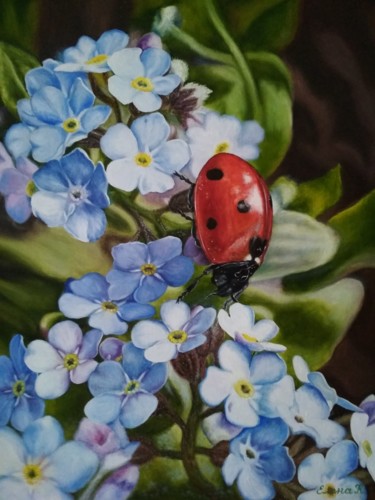 Pittura intitolato "Ladybug on forget-m…" da Elena Kozyutenko, Opera d'arte originale, Olio