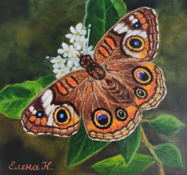 Schilderij getiteld "Junonia butterfly" door Elena Kozyutenko, Origineel Kunstwerk, Olie Gemonteerd op Karton
